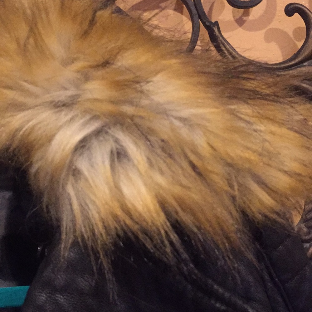 Motor Jacket View 5